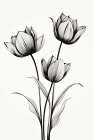 Black Tulips Art Print