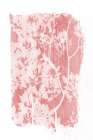 Pink Tree Foliage Silhouette Landscape Print