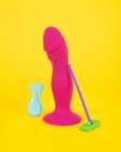 Dildo Cleaning Still Life Print