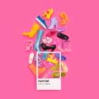 Life In Plastic Art Print