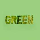 Green Still Life Print