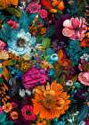 Meadow Flowers 6 Art Print