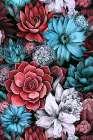 Succulents And Cactus 2 Art Print