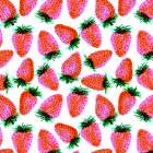 Lavender Red Strawberries Fruit Art Print