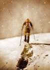 Mountaineer Sport Art 11 Art Print