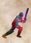 Cricket Sport Art 3 Art Print