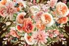 Morning Blooms Art Print