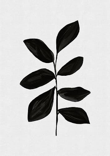 Botanical I Nature Print