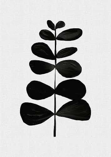 Botanical Ii Minimalist Print