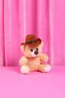 Cowboy Teddy Bear Art Print