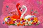 Flamingo A Dahlias Spring Art Print