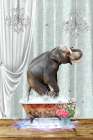 Elephant A Bubbles Art Print
