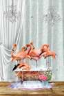 Flamboyance A Bubbles Art Print