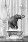 Elephant A Bubbles Black A White Art Print