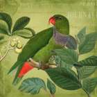 Bird Paradise Garden Ii Botanical Print