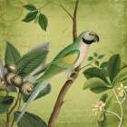 Bird Paradise Garden Art Print