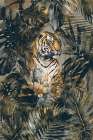 Jungle Tiger Art Print