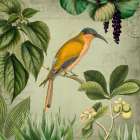 Vintage Birds 2 Art Print