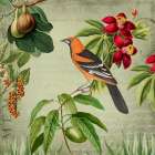Vintage Birds Art Print