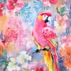 Parrots Pink Paradise Art Print