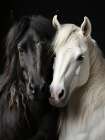 Bw Horses 3 Art Print