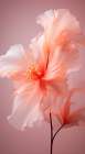 Delicate Flowers 2 Art Print
