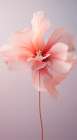 Delicate Flowers 4 Art Print