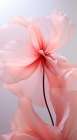 Delicate Flowers 6 Art Print