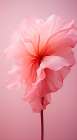 Delicate Flowers 8 Art Print