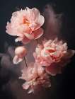 Flowers In Steam 2 Art Print