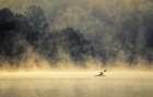 Kayaking In The Mist Art Print
