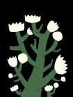 White Bloom Art Print