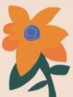 Macro Orange Bloom Art Print