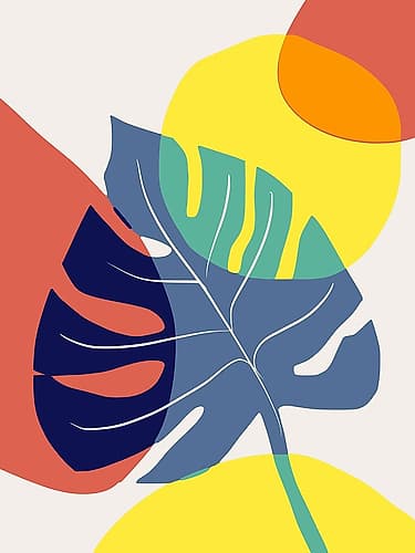 Monstera In Primary Minimalist Print