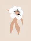 White Floral Dance Art Print