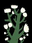 Nocturnal White Blossom Art Print