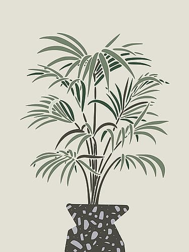Indoor Pot Palm Minimalist Print