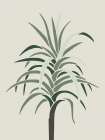 Palm Portrait Art Print
