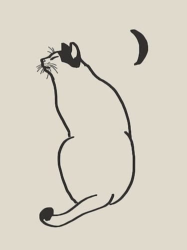 Line Art Cat Drawing 4 Minimalist Print