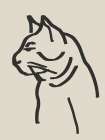 Line Art Cat Drawing Art Print