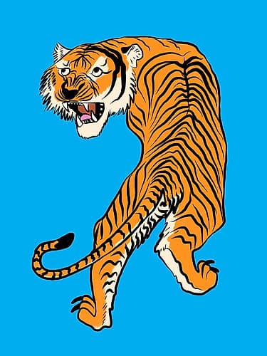 Tiger In Orange And Blue Minimalist Print