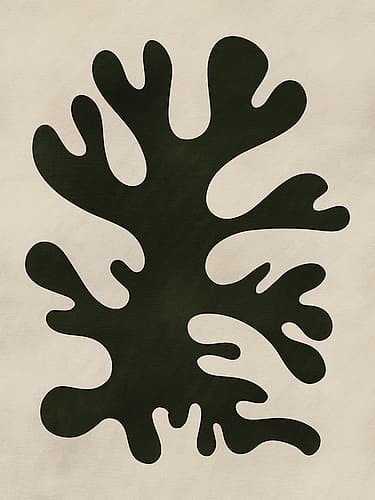 Minimal Black Coral Shape Study Minimalist Print