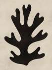 Minimal Black Coral Art Print