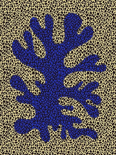 Blue And Yellow Coral Study Art Print