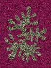 Red and Green Coral Study Art Print