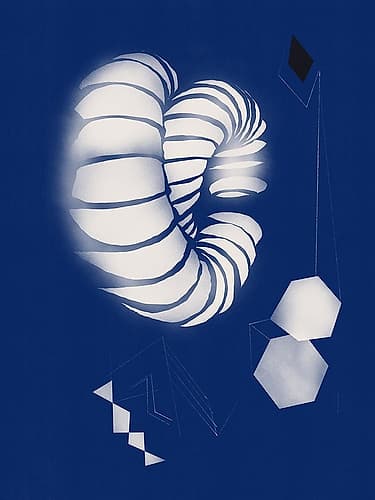 Seashell Ornaments Art Print
