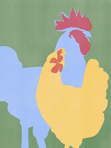 Farm Chicken Art Print