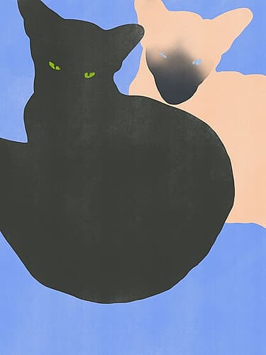Siamese Cat Art Print by Little Dean
