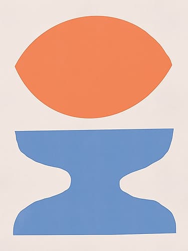 Organic Shapes In Orange And Blue Abstract Art Print
