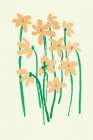 Flowers arrangement Art Print